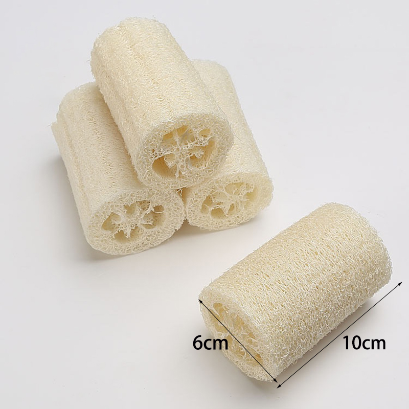 10cm Loofah and Soap Mold Kit  - Soap Making Kit For Kids 评论和价格
